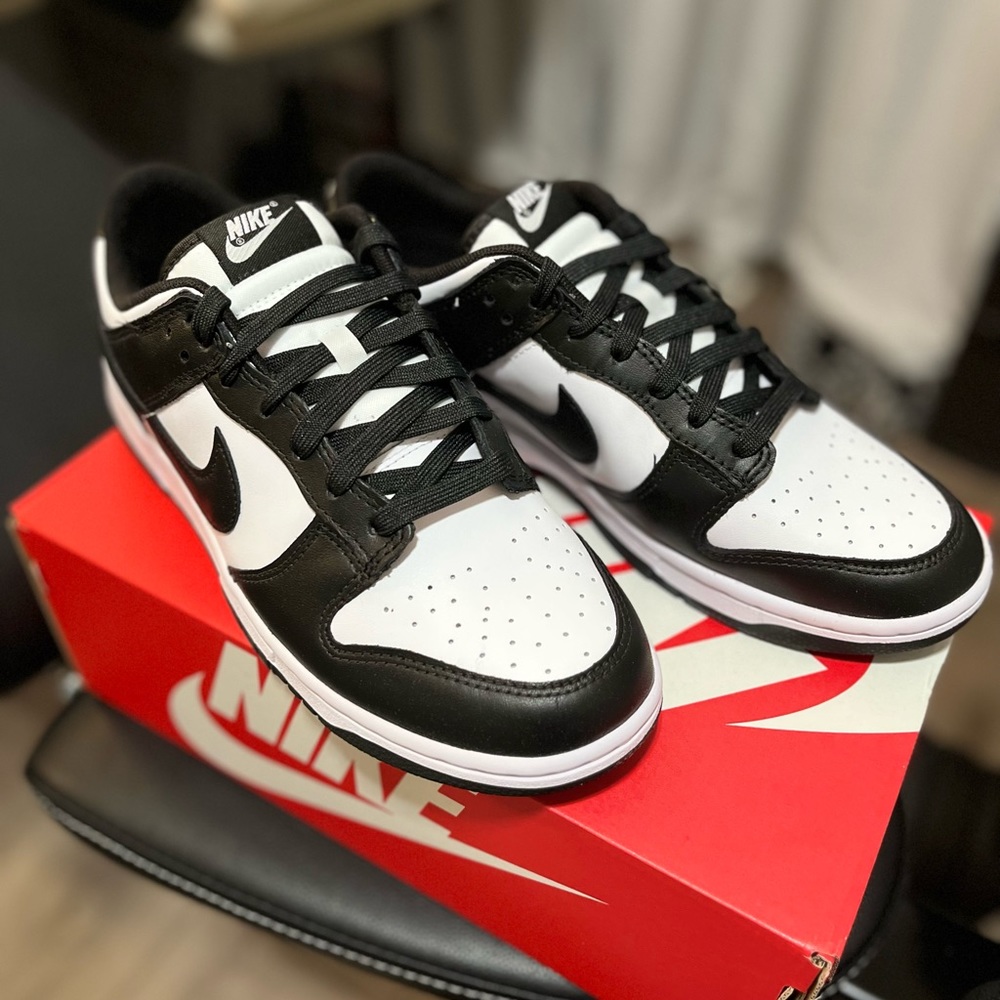 Nike Dunk Low Retro (Men)